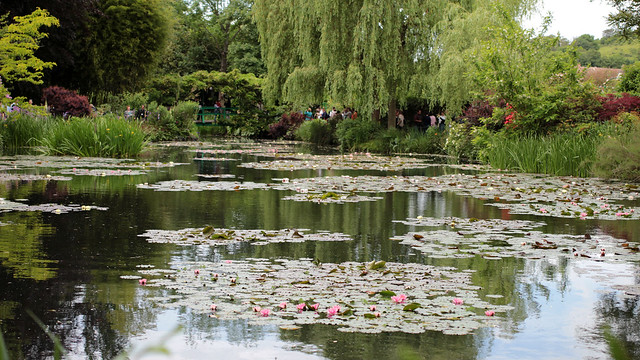Giverny Monet's waterlilies