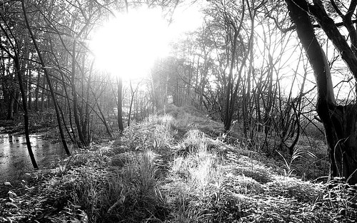park sunset bw nature contrast golden harbor nikon angle state path wide nh rye hour fullframe d600