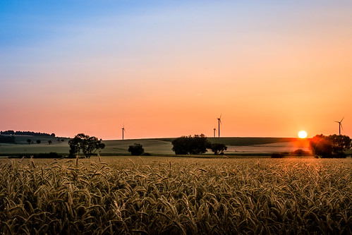 blue sunset sun germany landscape cornfield warm sonnenuntergang sonne harz kornfeld