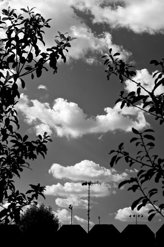california blackandwhite leaves clouds fence longbeach lightpoles sonynex5r 4018hexanonar sonycircularpolarizer