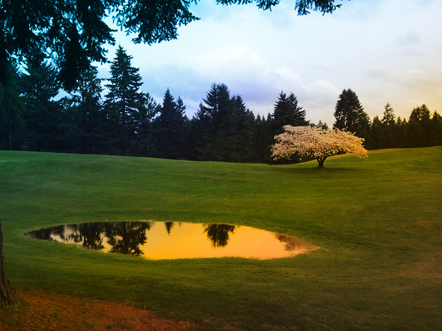 Fircrest Golf Course, Pierce County, Washington.