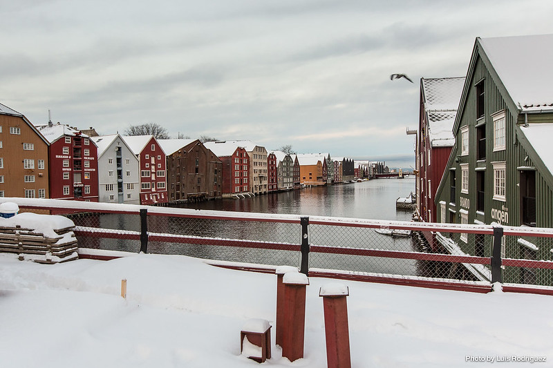 Trondheim-9