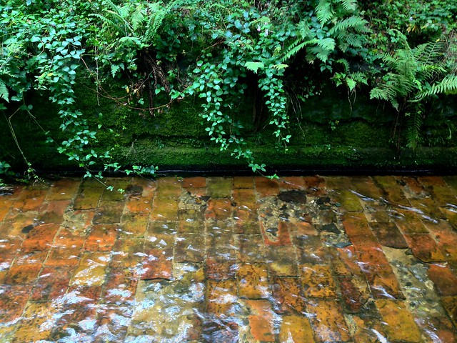 Paved Streambed