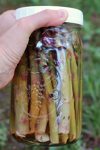 Pickled asparagus by Eve Fox, the Garden of Eating blog, copyright 2013