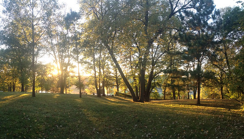 park trees sunset iowa phelps decorah