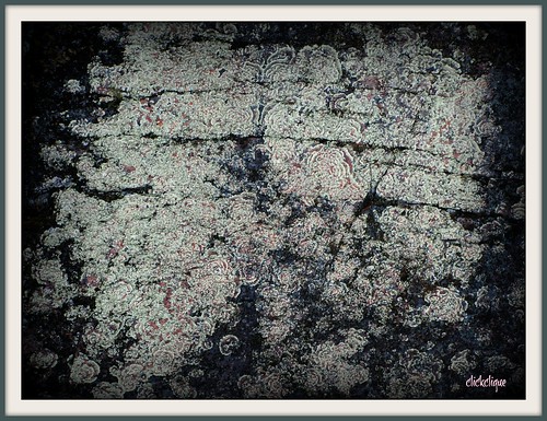 art rock river zoom details rockface lichen citritbestofyours travelpilgrems