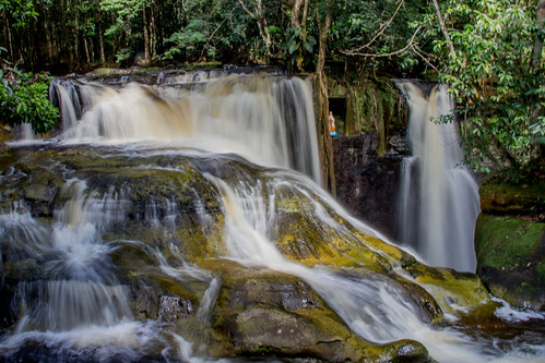brazil brasil rainforest selva falls jungle waterfalls cachoeira amazonas santuario amazonia cascata presidentefigueiredo naturewatcher