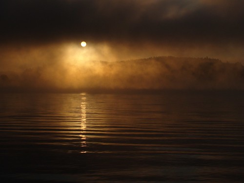 fog sunrise warm wasser nebel sommer landschaft sonne sonnenaufgang gegenlicht dunst früh schwaden verdunstung landschaftsfotografie