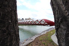 A different angle on the peace bridge,