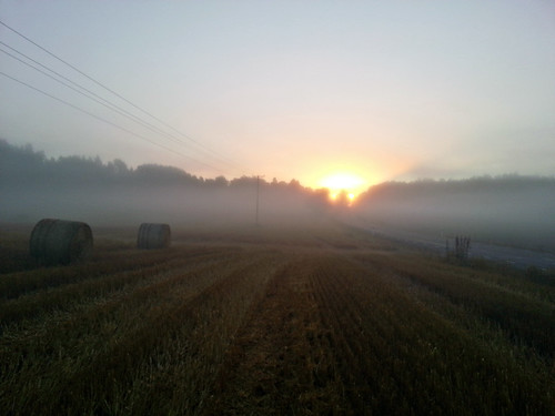 road morning fog sunrise dawn