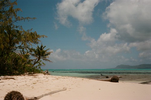 camera usa white tree film beach 35mm vintage island islands sand kodak rangefinder palm 400 tropical northern 35 signet portra commonwealth tropics mariana saipan managaha cnmi