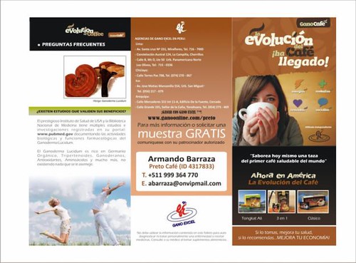 a Brochures, tripticos a domicilio, delivery Lima y provincias de todo el Peru