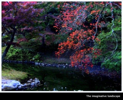 theimaginativelandscape olympuspenep3 ealabo fuwaryôsuke nara yamato japan narapark trees autumnleaves 奈良公園 大和 pond 奈良