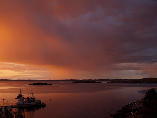 sea seagulls rain gulls regn solnedgang frøya bremvågen bremvåg tinemerethe