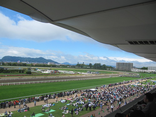 函館競馬場の指定席からの眺め