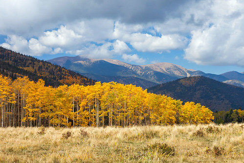 autumn trees mountains clouds forest flora colorado unitedstates aspens sangredecristomountains sanisabelnationalforest laveta