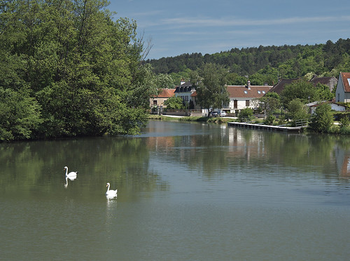 france reflection river swan burgundy yonne mailly 2013 maillylaville