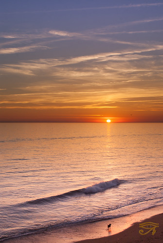 ocean sea sun saint sunrise de soleil corniche gilles vie croix couché vendée océan vendéenne