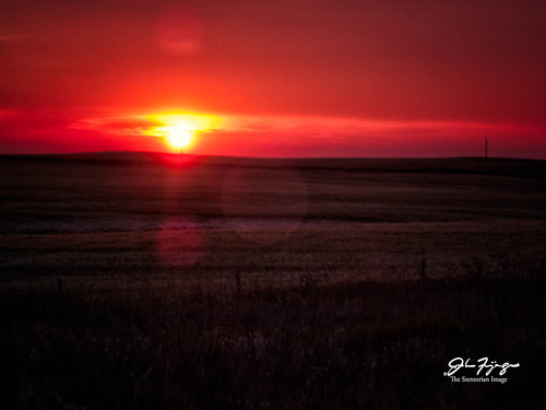 red sky orange calgary field sunrise landscape alberta