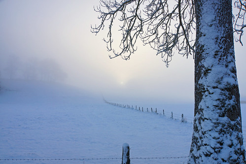 morning november schnee winter light snow cold tree sunrise fence landscape bayern bavaria licht zaun kalt landschaft sonne sonnenaufgang morgen baum raureif reif kälte 2014 baumstamm 2013 pfaffenwinkel frauenrain dorenawm nex7 renatedodell