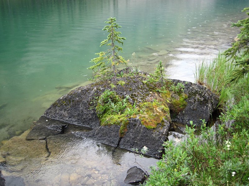 Tiny island with trees and raindrops in Luellen Lake