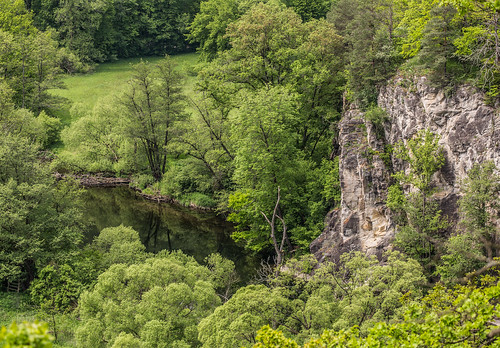 landschaft landscape outdoor thaya einsiedlerweg hardegg fels felsformation rocks felsen österreich austria autriche niederösterreich loweraustria waldviertel grenzflus border wasser water spiegelung reflection river fluss pflanze bäume baum tree trees thayatal