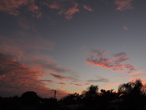 pink sky topf25 clouds twilight nikon dusk bluesky palmtrees pinksunset redsunset p520