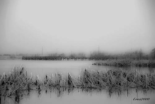blackandwhite bw landscape alabama southern causeway wetland gulfcoast mobilebay trex7000 arpub
