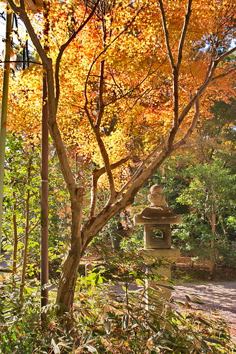 【写真】2012 紅葉 : 石清水八幡宮/2021-10-16/IMGP8256
