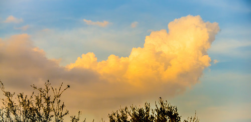 sunset orange tree yellow clouds landscape florida kissimmee