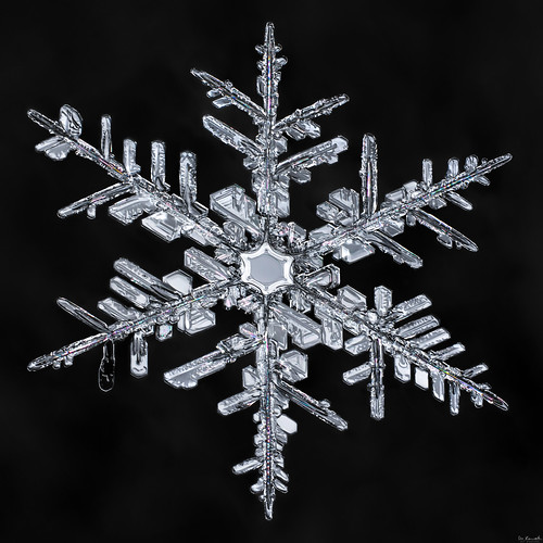 snowflake snow flake ice crystal water macro winter cold focusstacking nature geometry fractal