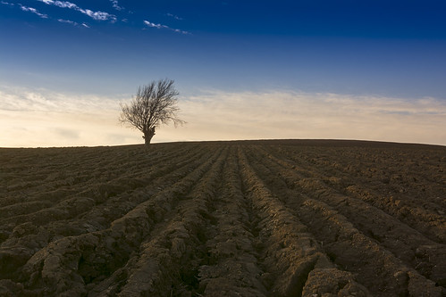 Ploughed