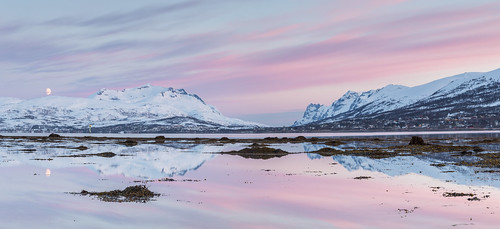 pink snow mountains norway sunrise reflections spring fjord tromsø troms gaper langnes ersfjorden