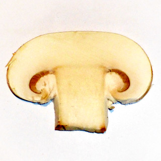 mushroom