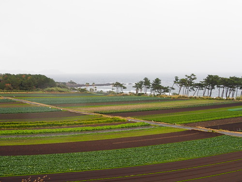 japan geotagged kagoshima 日本 kyushu 九州 okachugamizu 132kmtookachugamizuinkagoshimajapan geo:lat=31163302 geo:lon=130586726