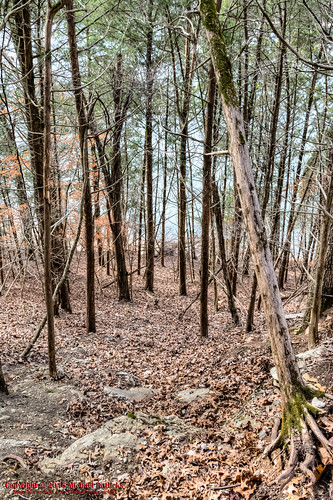 winter usa geotagged unitedstates hiking tennessee linden hdr springcreek photomatix tennesseestateparks shelter2 mousetaillandingstatepark geo:lon=8801427500 eaglepointtrail sigma18250mmf3563dcmacrooshsm mousetailhistorical canoneos7dmkii geo:lat=3567634333