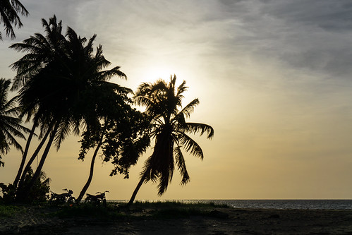 ocean sea beach backlight sunrise contraluz palms mar meer playa republicadominicana lasterrenas caribe quisqueya ⨀2016