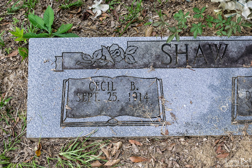 county cemetery us unitedstates alabama catherine wilcox shaw ~ larrybell larebel larebell southernphotosoutlookcom