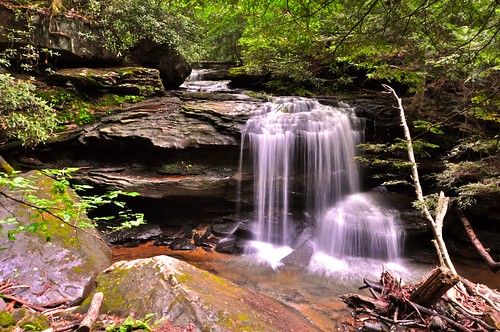 statepark forest waterfall woods stream pennsylvania ohiopyle jonathanrunfalls