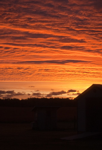 morning light sky cloud sun sunrise dawn horizon shed princeedwardisland homestead pei cardigan
