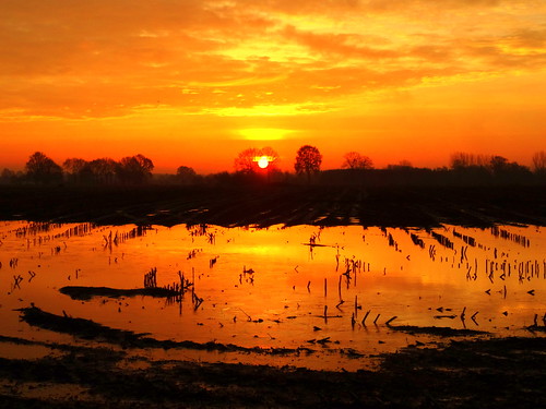 orange sunrise belgium antwerp zon ochtend oranje landschap zonsopgang oostmalle akker