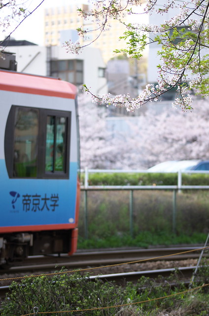Tokyo Train Story 都電荒川線 2014年4月5日