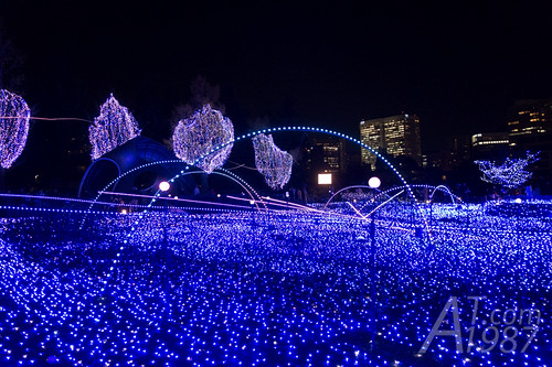 Starlight Garden at Tokyo Midtown