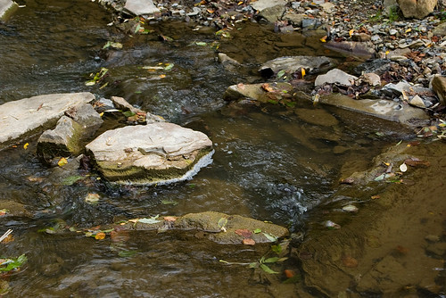 wood nature water river waterfall stones poland polska natura bieszczady woda rzeka drewno kamienie wodospad bieszczadymountainrange dołżyczka