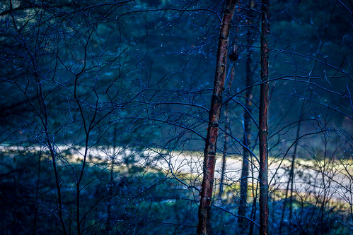 wood blue nature forest landscape woods path natur walkway skog landskap karmøy snik