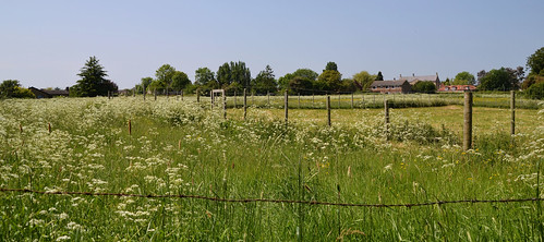 countryside village fields cowparsley ruralengland fencedfriday swayfieldlincolnshire