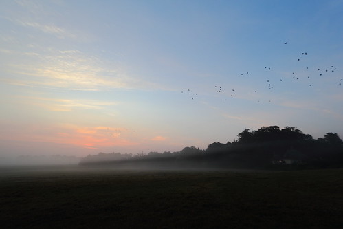 mist sunrise norfolk crows hdr medow