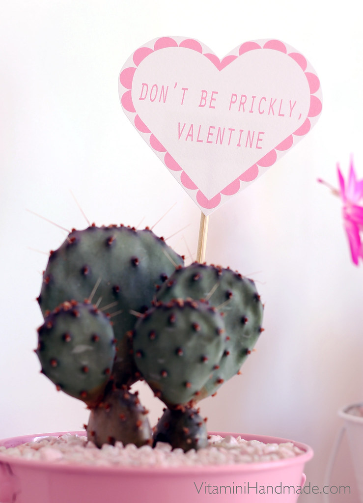DIY Valentine Succulent Planters with free printable!