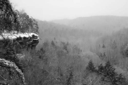 trees winter ohio blackandwhite snow nature canon landscape conkleshollow ruralohio