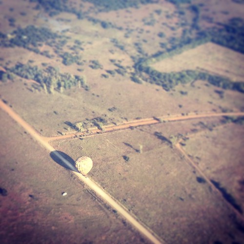 olaf action balloon safari lindsey magaliesberg olgiati